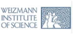 Weizmann Institute